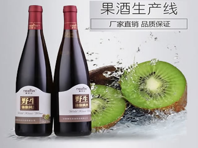 果酒生产设备 果酒生产线