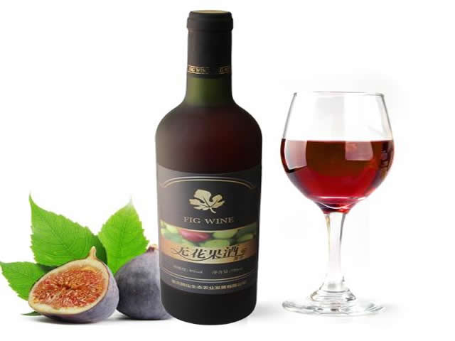 无花果 猕猴桃酒生产设备