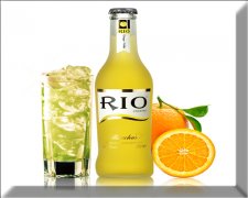 青梅 猕猴桃 蓝莓 苹果 梨 桑葚果 荔枝 葡萄等水果酿造技术培训