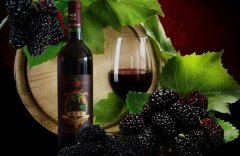 各种果酒生产技术培训